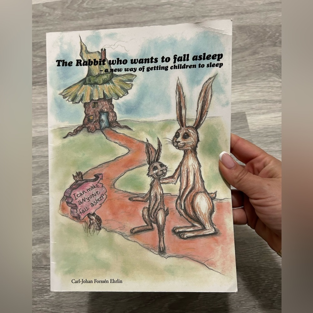 The Rabbit Who Wants to Fall Asleep Book